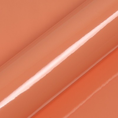 MG2P01 - Pêche Brillant